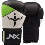 Art -Boxing Gloves- JNX-103