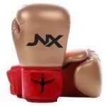Art -Boxing Gloves- JNX-109