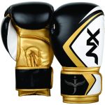 Art -Boxing Gloves- JNX-110